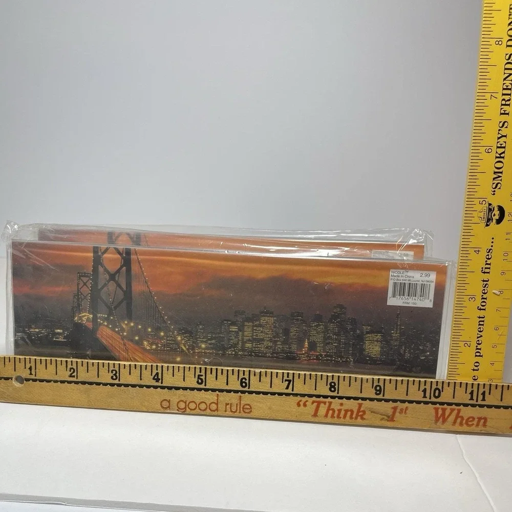 Vintage Clear Acrylic Panoramic Picture Frames 10